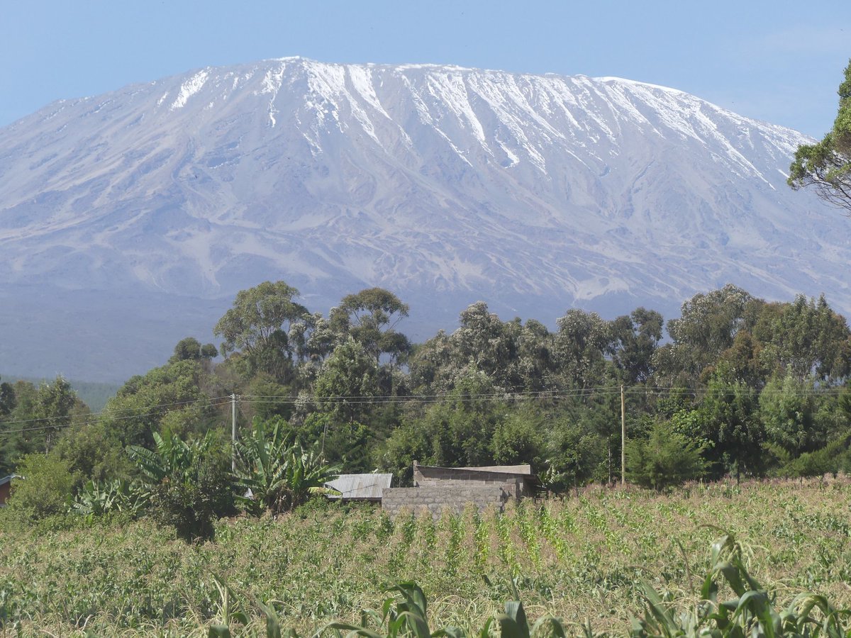 PhotosForTrees's tweet image. #kimana #kajiadocounty