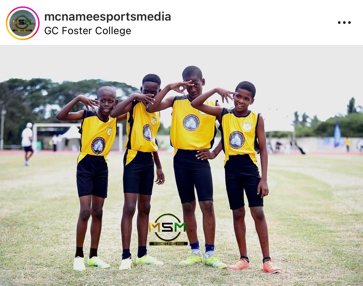 Homestead Primary and Infant tweet media