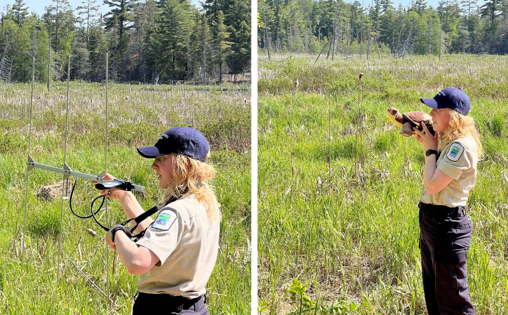 As the senior park naturalist of <a href="/GrundyLkPP/">GrundyLakePP</a>, Hope oversees the education of park visitors and a variety of research and monitoring projects. 🐢🦇 

Learn more: bit.ly/3OvpX9W

#WomenInScience