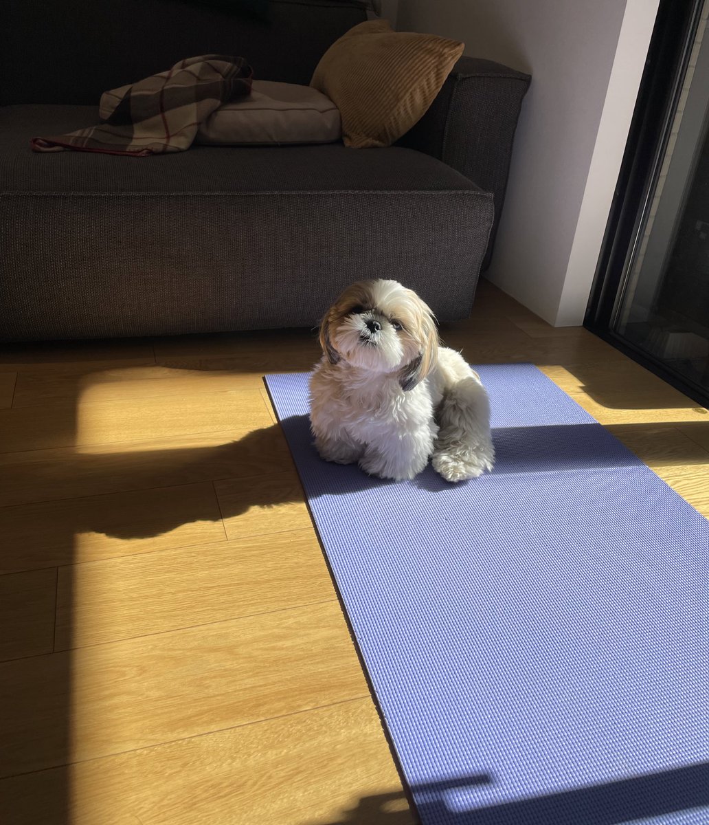 本日のベストショット🌞