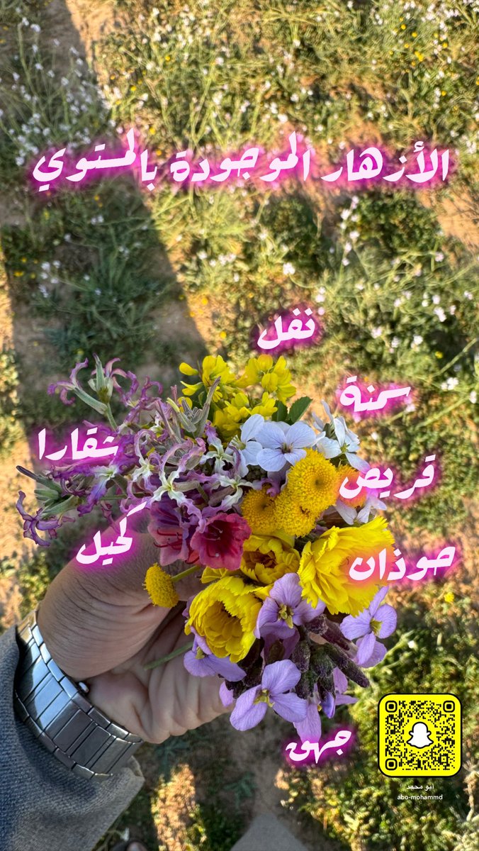 kss88841's tweet photo. أنتعش ربيع المستوي بعد الأمطار ولله الحمد وعسى الله يتبع له ياكريم https://t.co/TnwC9EdvQu