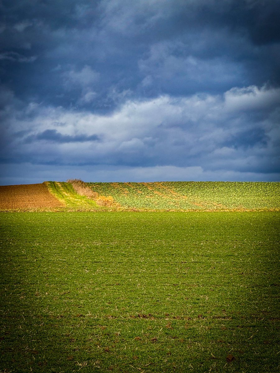 derdino's tweet photo. Feld #Winterlicht #Mainz #Laubenheim https://t.co/KcRVKwfdvu