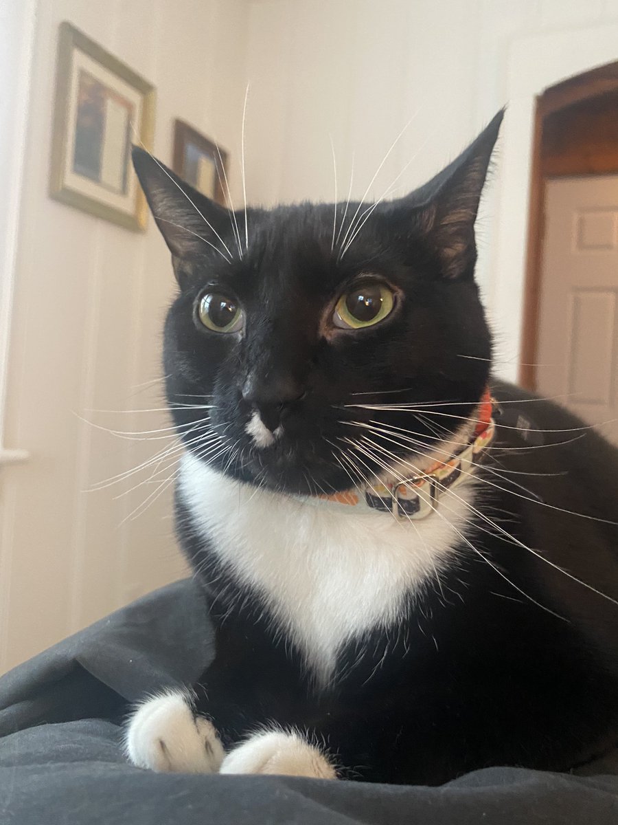 ⛓️‍💥 ranch ⛓️‍💥 tweet media