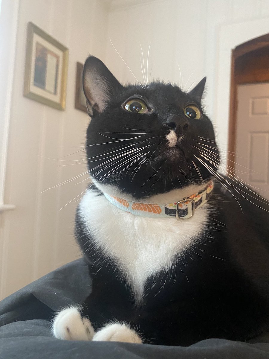 ⛓️‍💥 ranch ⛓️‍💥 tweet media