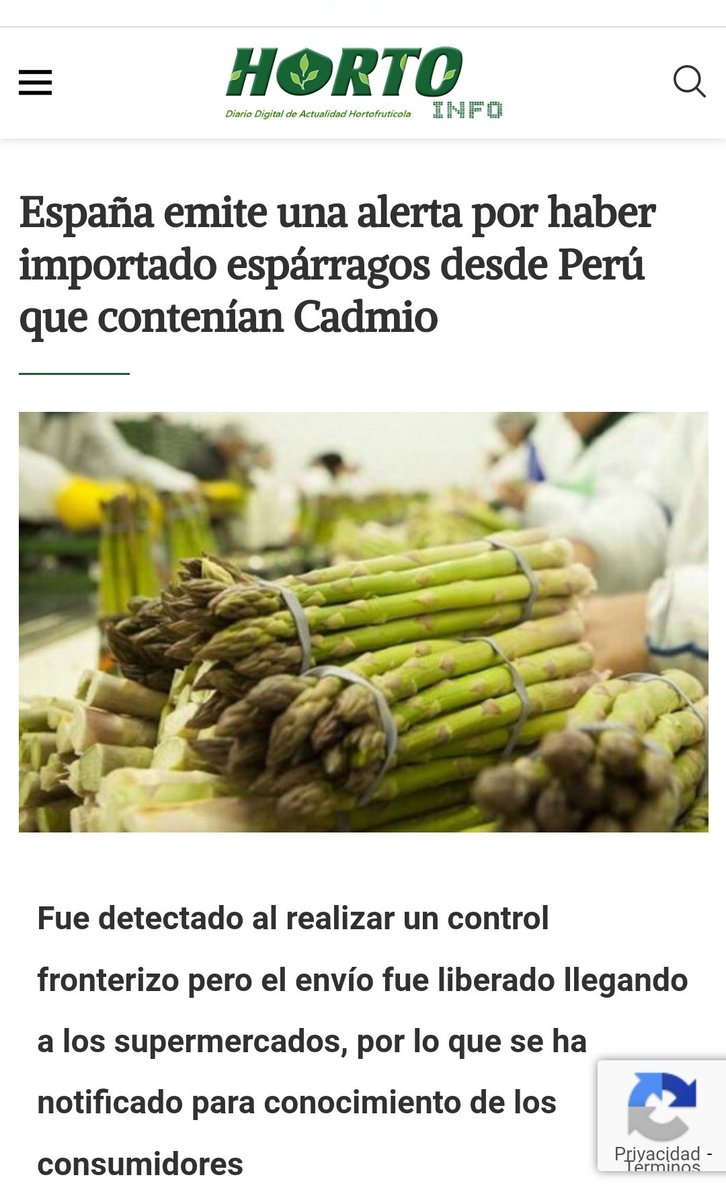Espárragos con Cadmio de Perú.