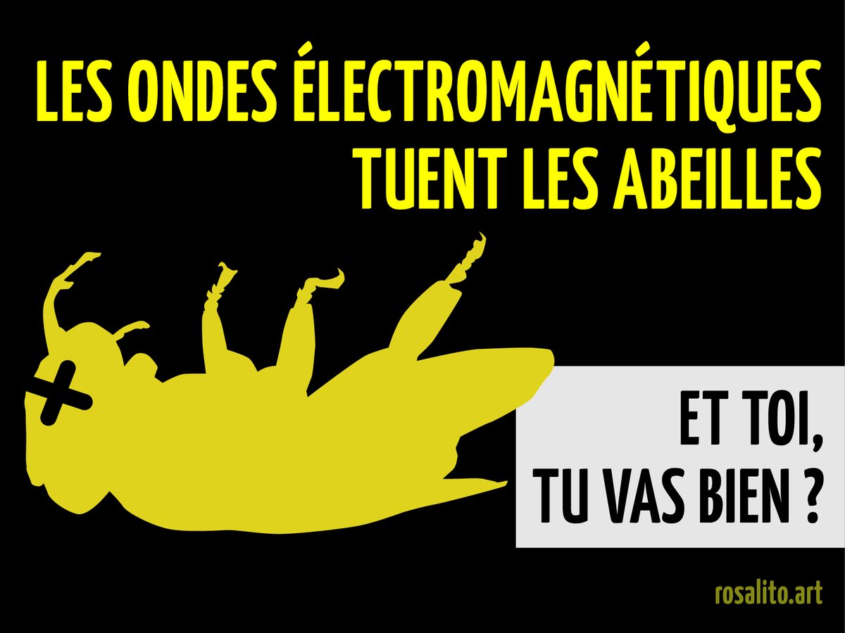 RosalitoEhs's tweet photo. LES ONDES ELECTROMAGNETIQUES TUENT LES ABEILLES
-
Rosalito EHS
@RosalitoEhs
·
30 déc. 2023
#WifiBashing #Stop5G #NoBluetooth #SafeConnections #Ehs #prévention #sansfil #objetsconnectés #abeilles #antennesrelais https://t.co/01airvqPsn