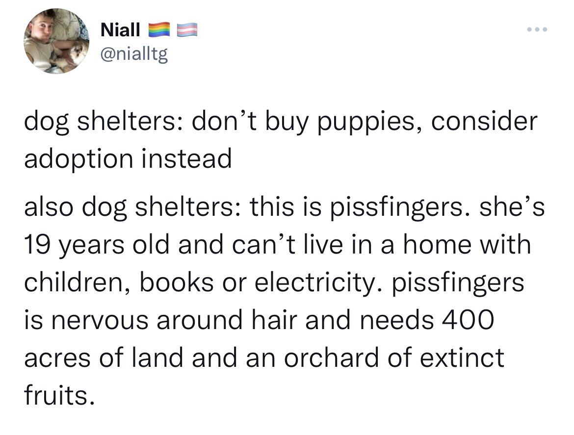 [Image: GGEZG67WUAA6dC9?format=jpg&name=medium]