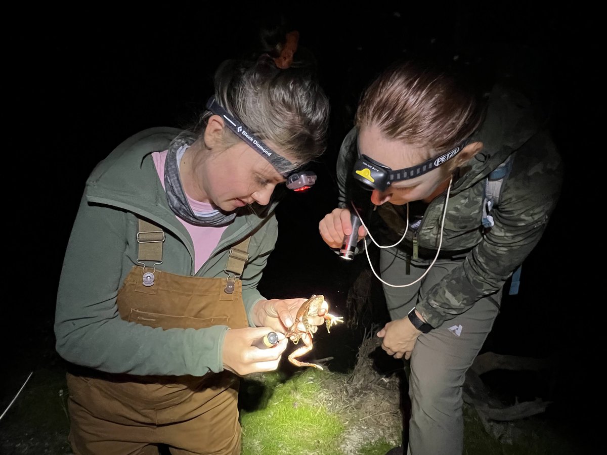 thewesterveltco's tweet photo. Happy International Day of Women and Girls in Science to our wonderful team!

Continue to break barriers and inspire future generations! 

#WeAreWestervelt #StewardsoftheLand https://t.co/lOMwi6Wg9S