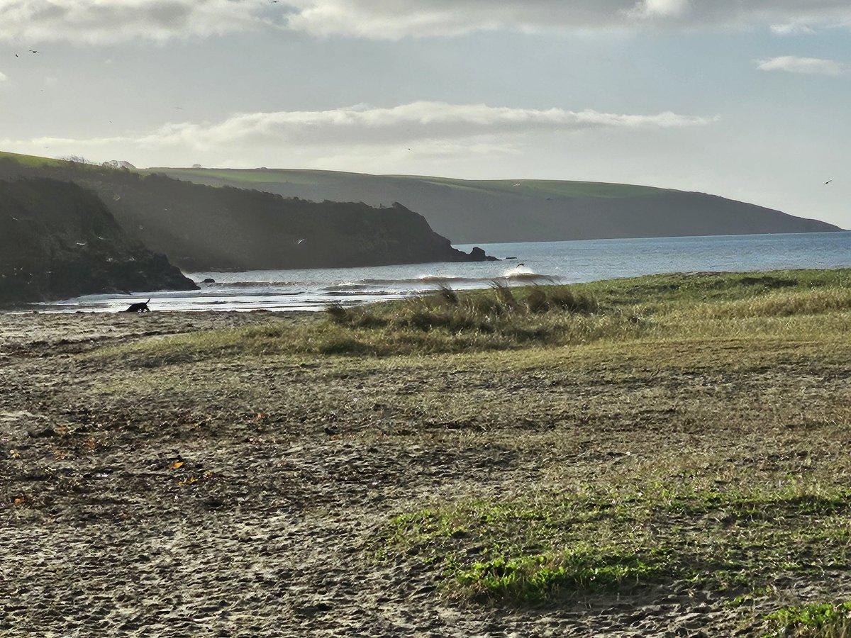 Wey hey!  Feeling like Spring already on the coast path at Par Sands Cornwall this morning..... Calm, Warm and Sunny .,... Let's have more perleese
