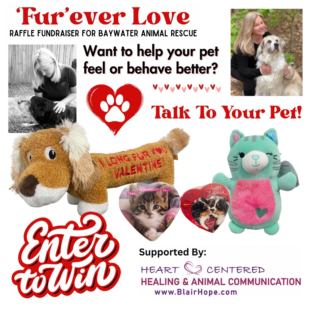 ❤️ 🐾 It's not too late to enter! 🐾❤️ Tickets are only 5 dollars!!! This lovely Valentine's Day bundle is just what you need to win a pet parent's heart. Details and tickets are available at ow.ly/sam350QA01i.
