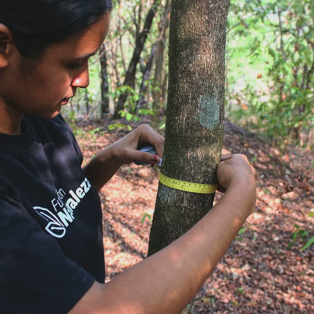 Fundación Naturaleza El Salvador está liderada por #científicas que promueven la participación de #mujeres en #ciencia. En este #DiaDeLaMujeryLaNinaEnLaCiencia queremos reconocer el trabajo de nuestro staff que hace un invaluable esfuerzo por generar conocimiento en #ElSalvador.