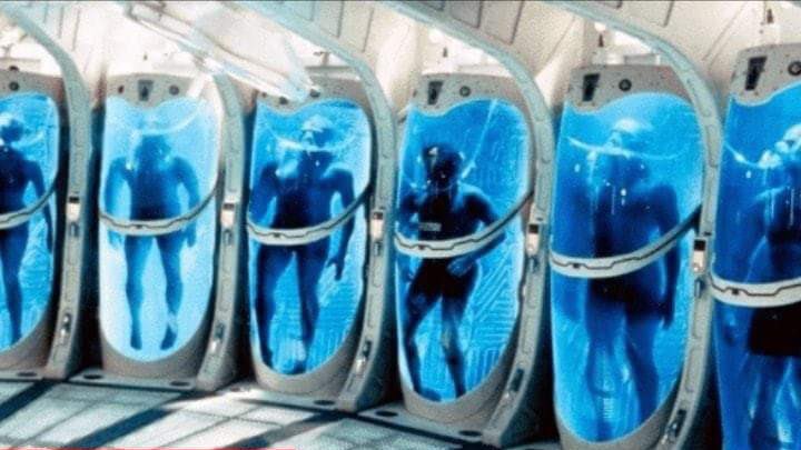 There are currently hundreds of deceased people in the US, including baseball legend Ted Williams, whose bodies are being frozen in liquid nitrogen in the hope that future technology will be able to revive them.