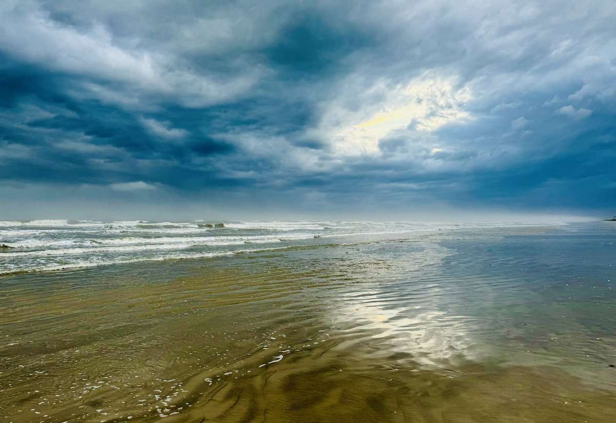 D Miller tweet media