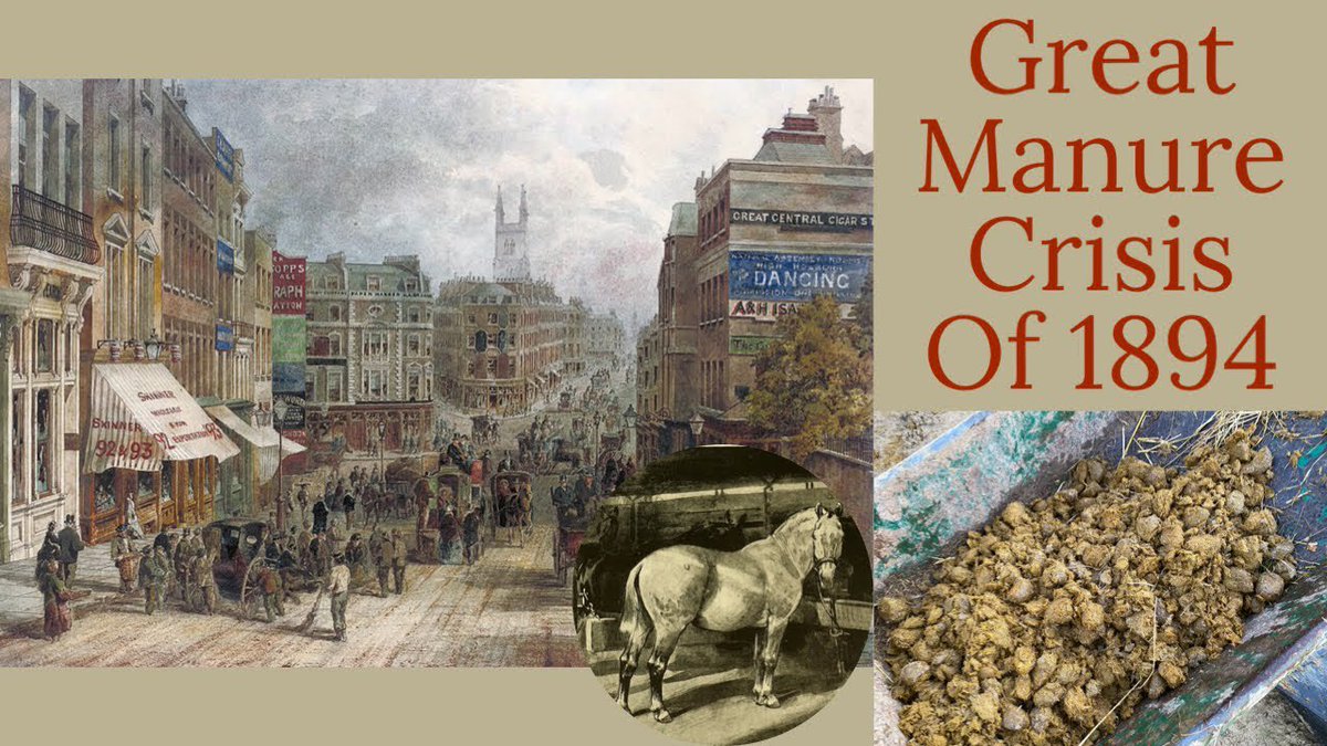 cwtrippe's tweet photo. @Shunyaa00 @BillAckman Less than 40 years before,  the streets were literally full of sh!t. Technology (the car) enabled the people of NY to elect  governments  to keep the streets  “clean &amp; beautiful” https://t.co/rFe4HO1ueP