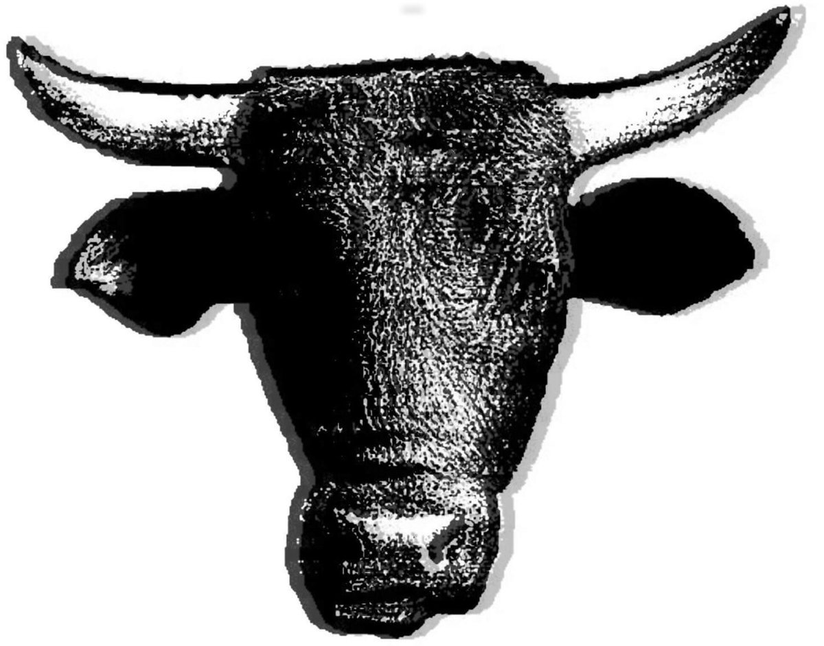 ElToroTuHermano 🌳🌸🐂🌻♥️ tweet media