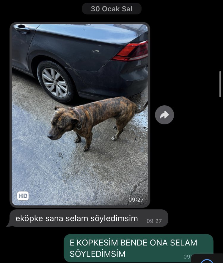 yasinatlx's tweet photo. HAHAHAJSHWHHSHWHQ aleykumselamsım sayın köpkeler @doktorhz https://t.co/XHSS9f4Yay