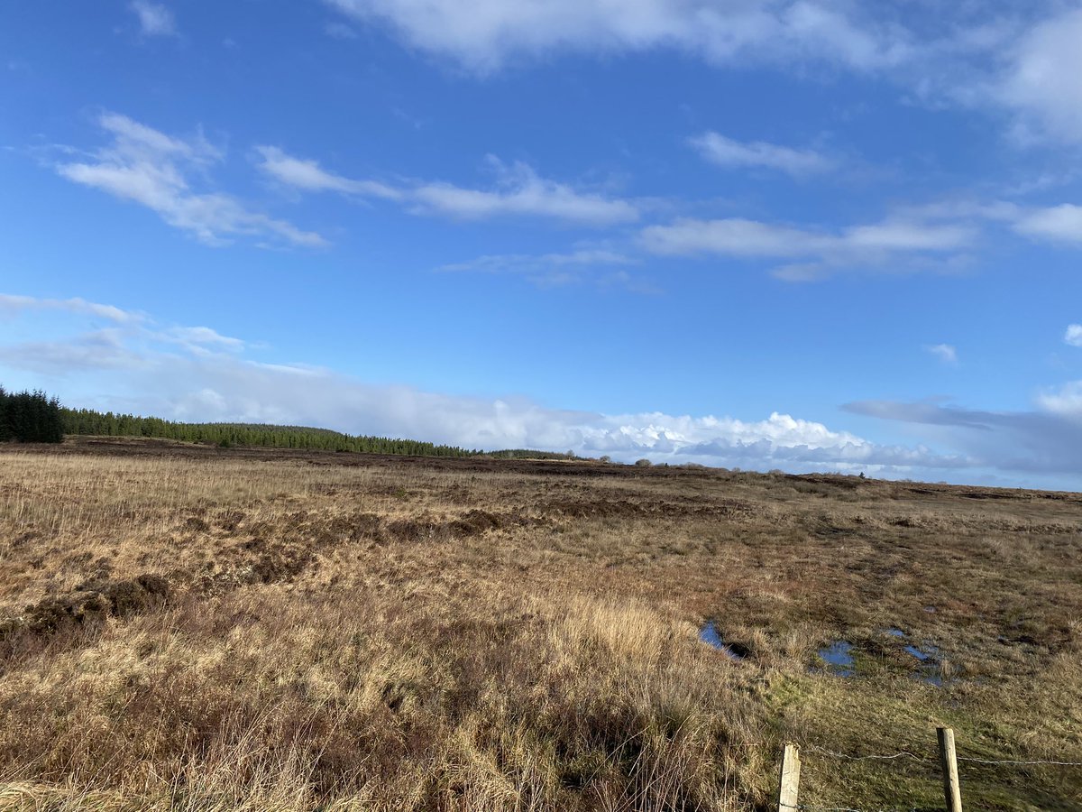 kellyswalk2rome's tweet photo. Beautiful Mayo February Sunday Morning to head over to stunning North Mayo and enjoy the 15.5km Moygownagh Loop walk. Really enjoyed this countryside trail today in beautiful conditions. Only a 40 minute spin down the road.
#walkkellywalk #kellyswalks #mayo #mayowalks #northmayo https://t.co/eh8gx293cs