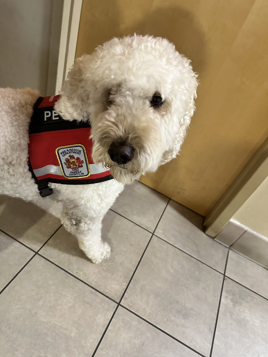 ladder716's tweet image. Huge shout out to our Fairfax County Fire and Rescue Department. Our special visitors today were Fred Brandell (Handler and over all awesome Chief/fireman) and Xander (Therapy dog). This visit was incredibly impactful and needed to our members. facebook.com/share/p/Fw6Vjj…