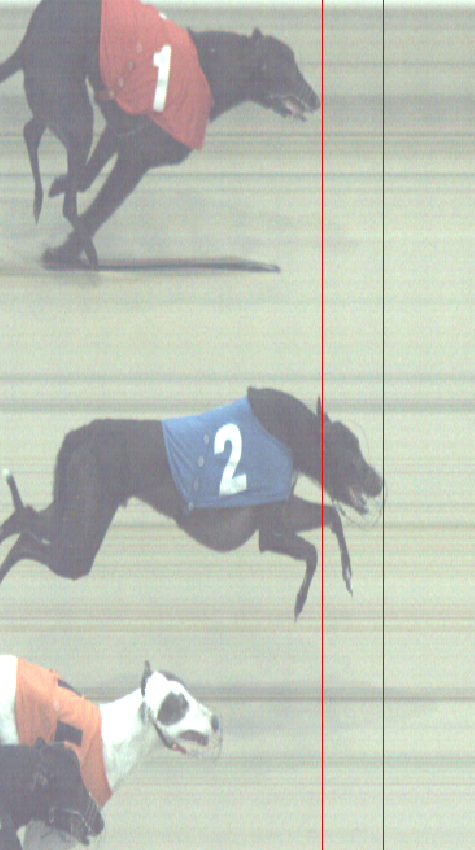 HoveRacing's tweet image. Sunday 11-2-24
@HoveGreyhounds

Race 10   

Photo finish for 2nd place      

#theplacetorace