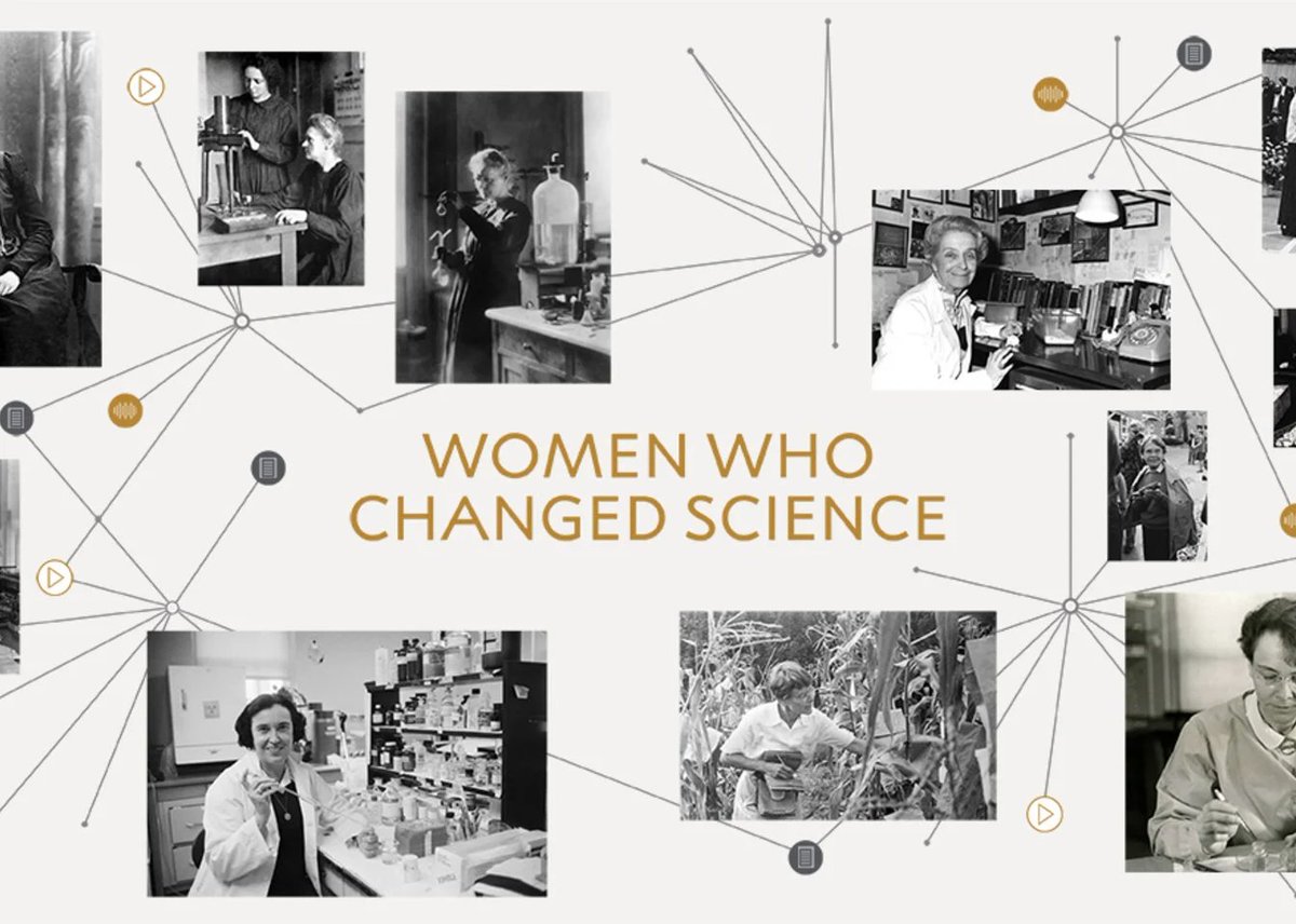 Throughout history, remarkable women have been pivotal in shaping scientific breakthroughs, proving innovation knows no bounds. Today on @UNESCO International Day of Women & Girls in Science, we celebrate #WomenInScience! More on women who changed science: nobelprize.org/womenwhochange…
