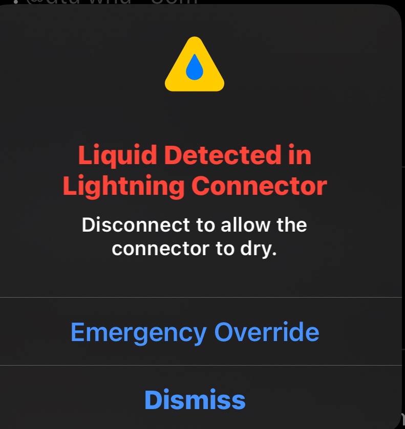 pablo 🌶️ tweet media