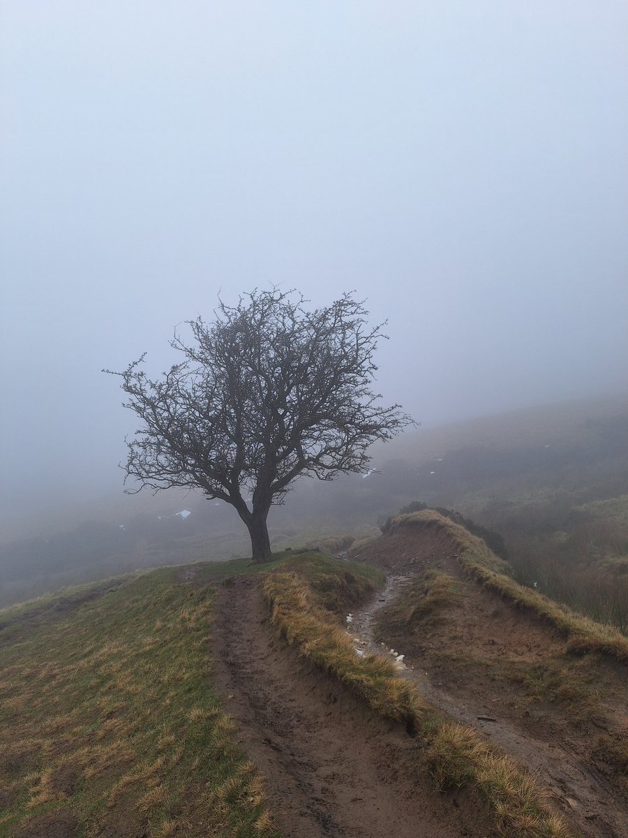 ciaramc1986's tweet image. Brews and (limited) views this morning. #brewsandviews #SundayMorning #peakdistrict #jacobsladder #edale