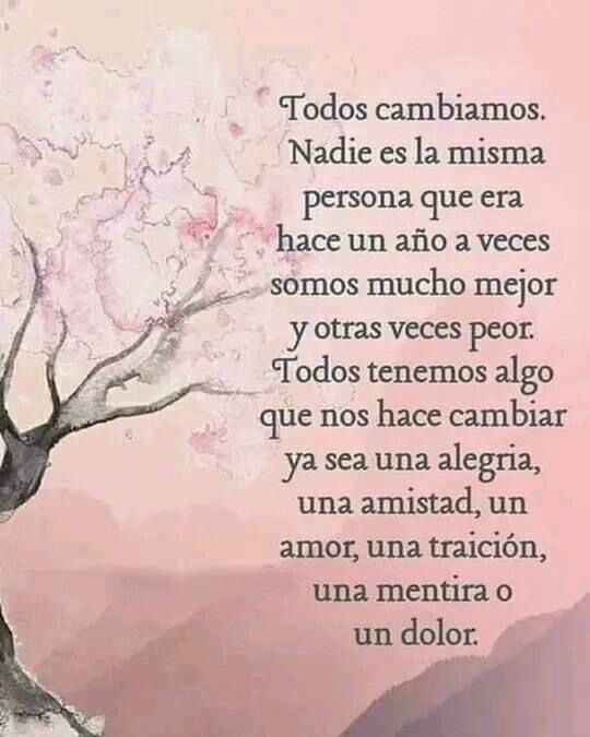 PauloCoelhoDice's tweet image. 