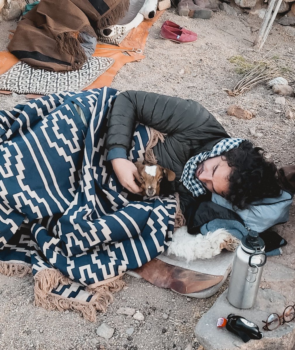 Diego had an unexpected campsite visitor while trekking through the Calchaquí... Read about it in this week's blog post! bonnerprivatewines.com/wine-education… @dsarango