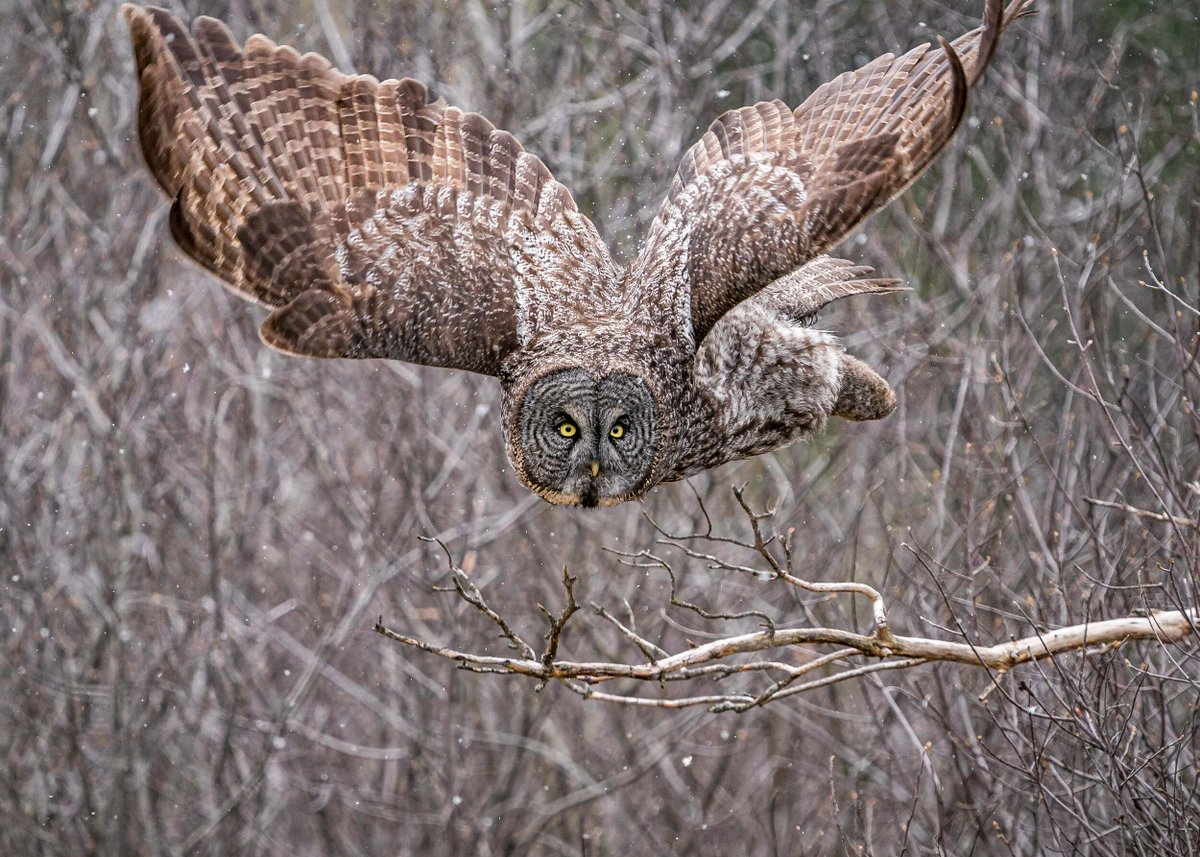 The Nature Conservancy in Minnesota tweet media