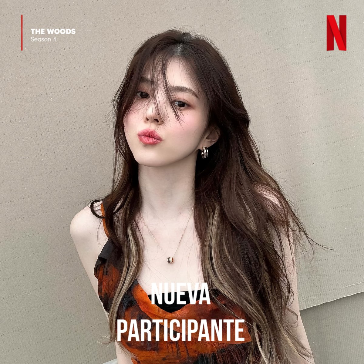 🏠🌲 tweet media