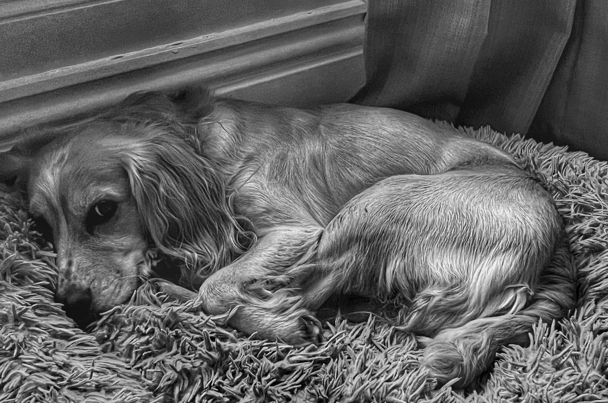 My houseguest… it’s been a bumpy road so far- good job he’s cute 🤦‍♀️