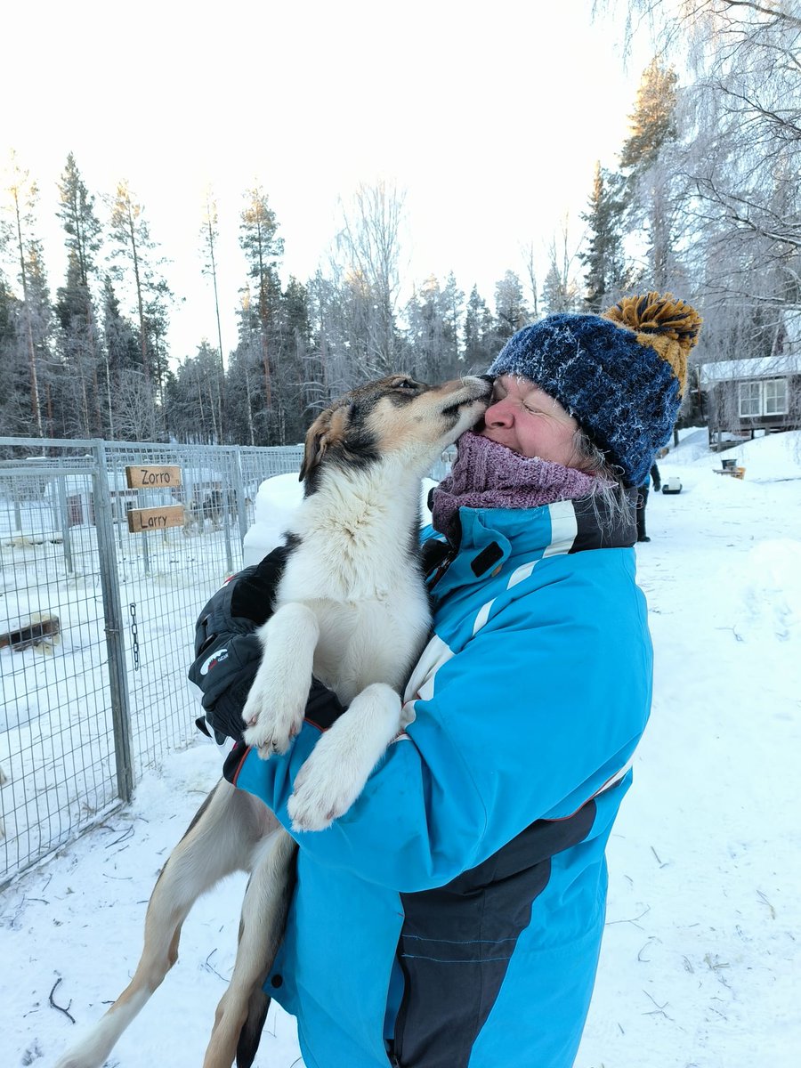 This week, a group of our Explorers are braving the cold on an exciting trip to Sweden. With temperatures of -30°C 🥶 this morning they've had a fun day settling in, helping with the dogs and a spot of ice fishing 🧊🎣

#SkillsForLife #Sweden #Scouting