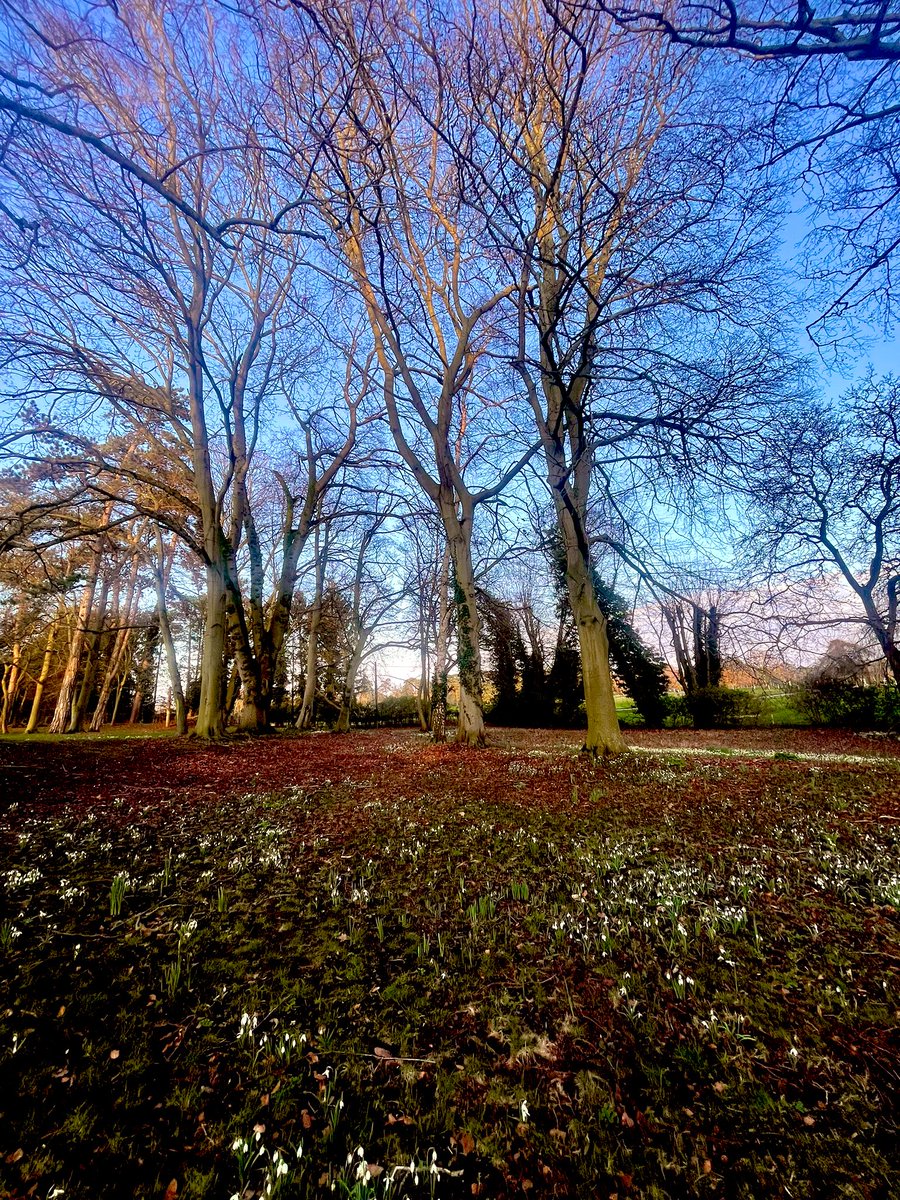 AndMagpies's tweet image. I could smell a little Spring in the air today 🥰 #sunday #springfeeling #waitingforspring