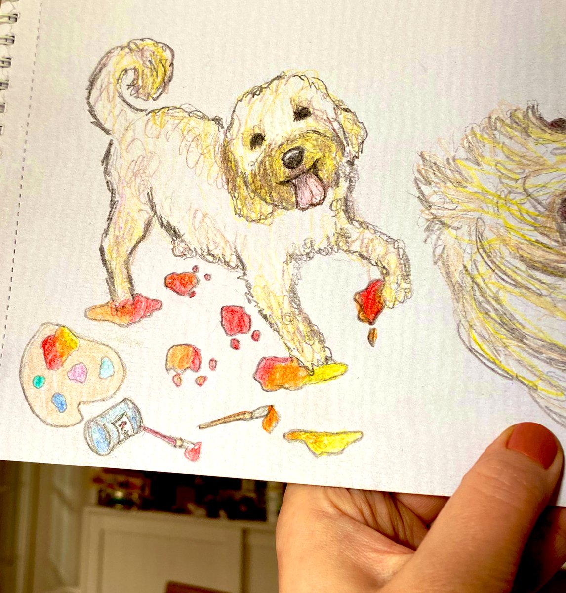 LizzieJonesPens's tweet photo. Teddy painting  - one for Teddy’s Adventures, a new rhyming story for dog lovers aged 0-8! #cavapoo #cockapoo https://t.co/C2cbujON4W