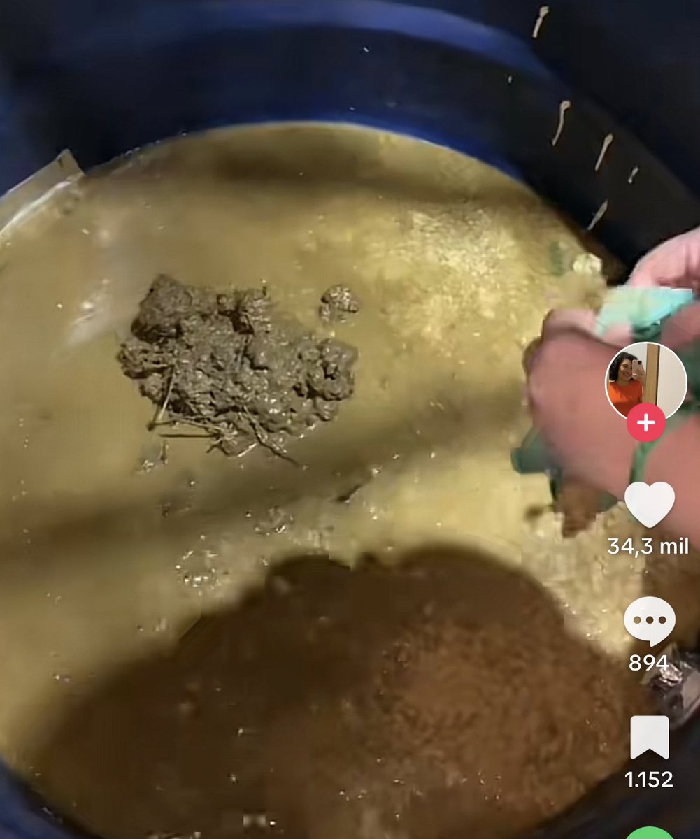 nerdymins's tweet image. acho que prefiro ser excluída pelo curso inteiro do que me jogar nesse banho de esterco... isso é pelo menos permitido por lei gente ? 😰