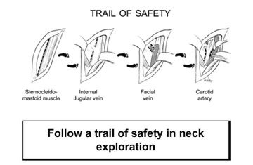Dr Luis Felipe Cabrera Vargas MD FACS tweet media
