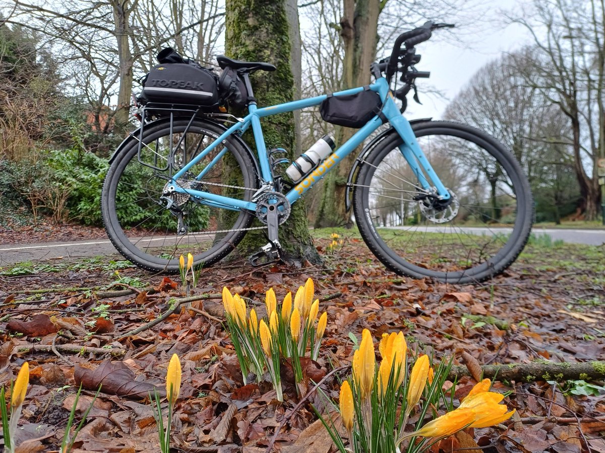 G_0_PEK's tweet photo. Spring leaning today https://t.co/o28EXHzayf
