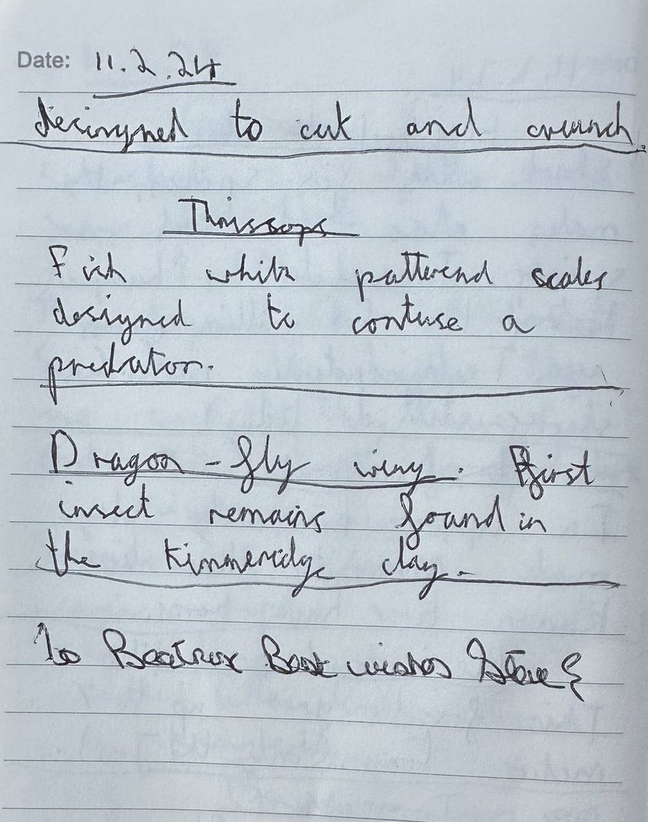 W82Matt's tweet image. The kids are down in Dorset and have been to the brilliant @TEC_Kimmeridge A big thanks to Steve for signing Beatrix’s note book👍🏻 @BNAscience #fossil #kimmeridge #naturalhistory