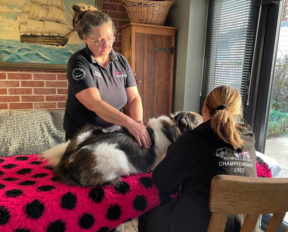 Born to Run MCICM (Grad), CM Dip, MIRVAP, MIAAT (@angelaborntorun) on Twitter photo <a href="/TheoPaphitis/">Theo Paphitis</a> We provide pain management support for dogs with mobility issues using physical therapies. Winning #SBS would showcase widely that help exists for dogs whose owners currently believe they've exhausted every avenue, especially when the dog has an arthritis diagnosis <a href="/TheoPaphitis/">Theo Paphitis</a> We provide pain management support for dogs with mobility issues using physical therapies. Winning #SBS would showcase widely that help exists for dogs whose owners currently believe they've exhausted every avenue, especially when the dog has an arthritis diagnosis