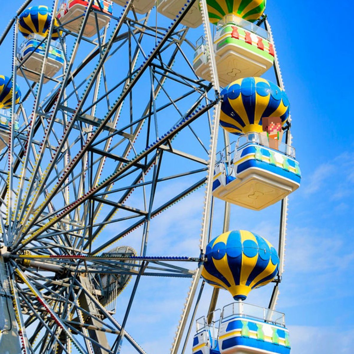 Where is Squiddo? tweet media