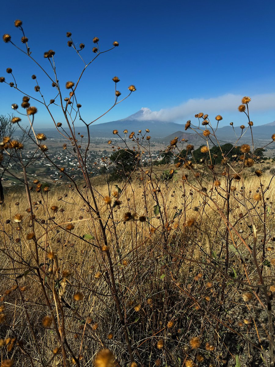 Cesarjl's tweet photo. En el cerro Zapotecas que desafortunadamente cada día tiene menos arboles. #cholula https://t.co/Md69dwKSzL