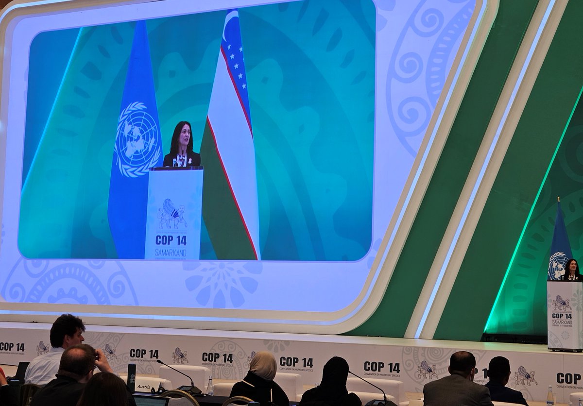 International Whaling Commission (@iwc_int) on Twitter photo IWC is at #CMSCOP14 supporting <a href="/BonnConvention/">Convention on Migratory Species (CMS)</a> and the fundamental message #NaturesKnowsNoBorders. Many cetacean species are migratory. Survival is dependent on international collaboration & transboundary conservation efforts. IWC is at #CMSCOP14 supporting <a href="/BonnConvention/">Convention on Migratory Species (CMS)</a> and the fundamental message #NaturesKnowsNoBorders. Many cetacean species are migratory. Survival is dependent on international collaboration & transboundary conservation efforts.