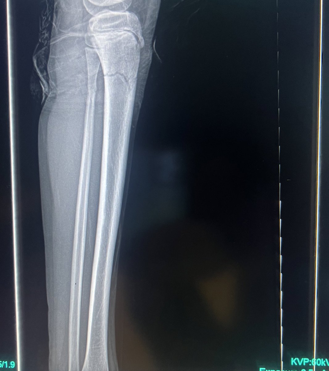 Very General Orthopaedist tweet media