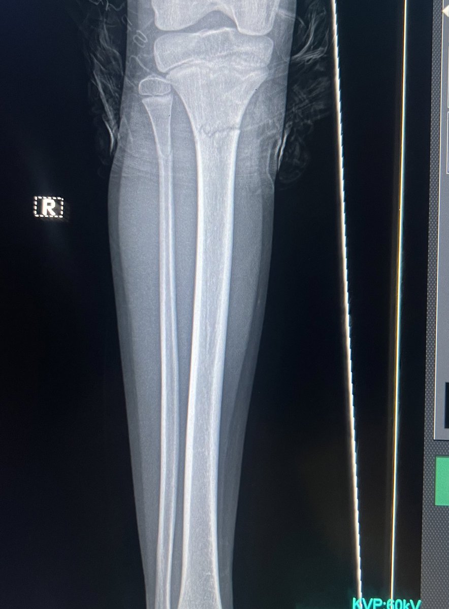 Very General Orthopaedist tweet media