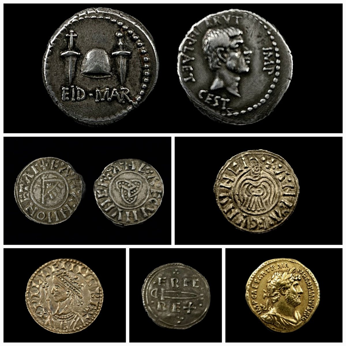 Dr Tom Horne tweet media