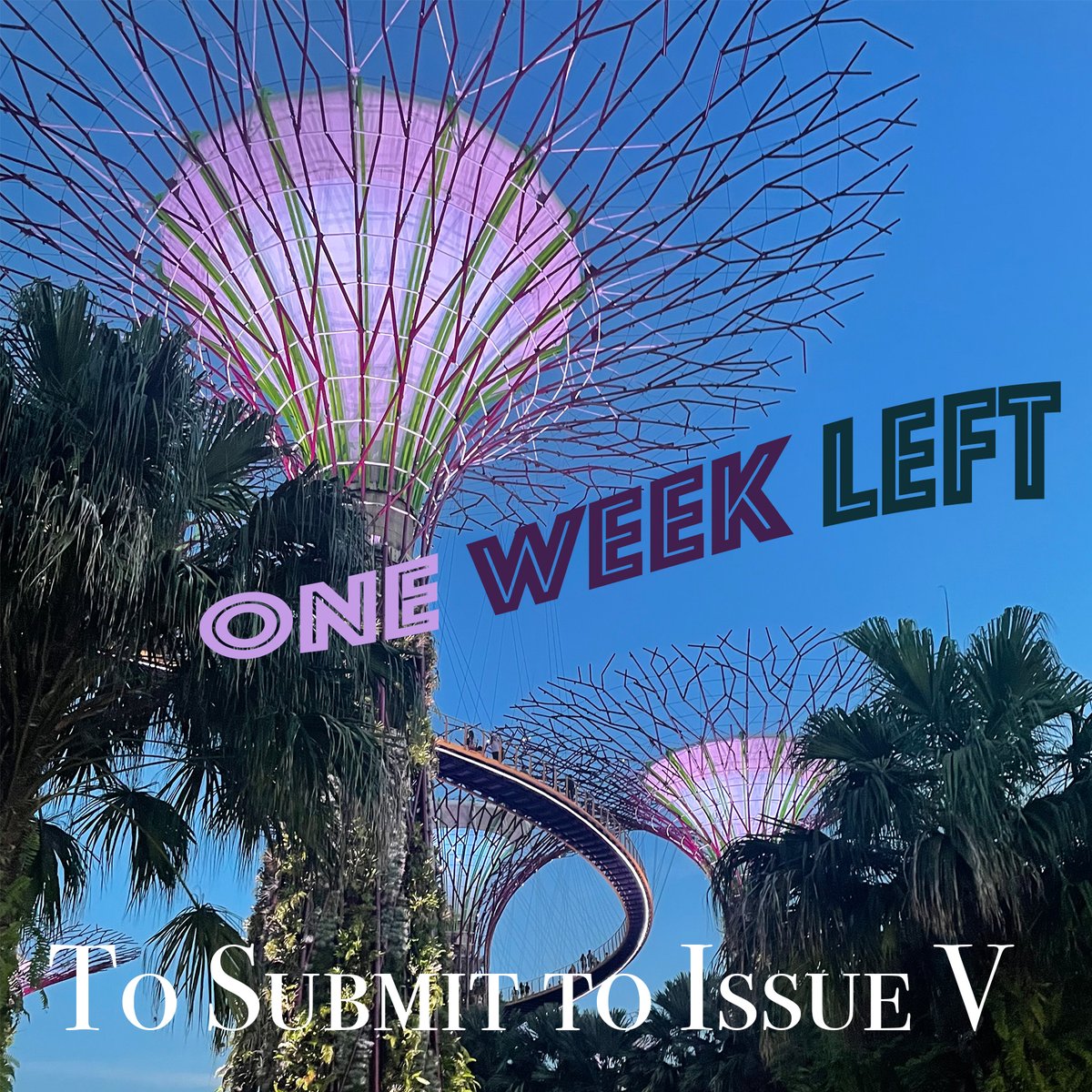 Only one week left to submit to Issue V! Make sure you submit any work you'd like to be considered for this issue by February 23rd!