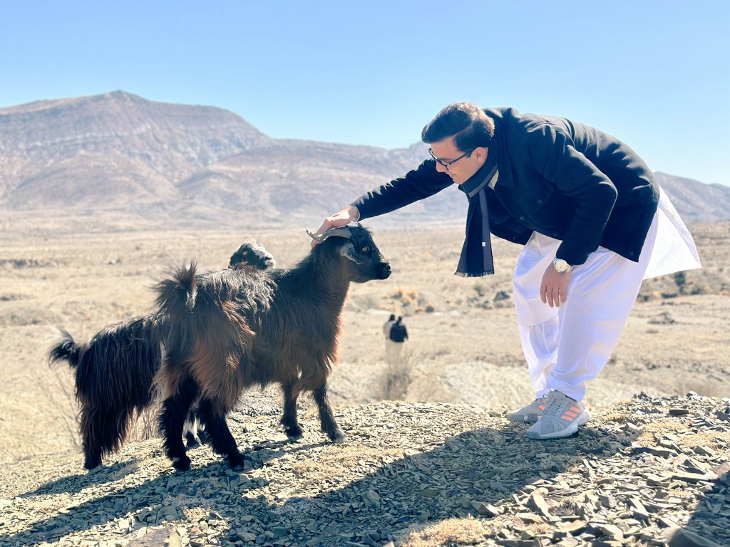 Call them the shepherds of this town,
I've heard the tales they share around.

They've roamed the unknown lands far and wide,
Yet, modern ways often they've denied.

They wait for the buds of life to bloom,
Though winters here can bring gloom.

#HomeTown #Zhob #TermBreak