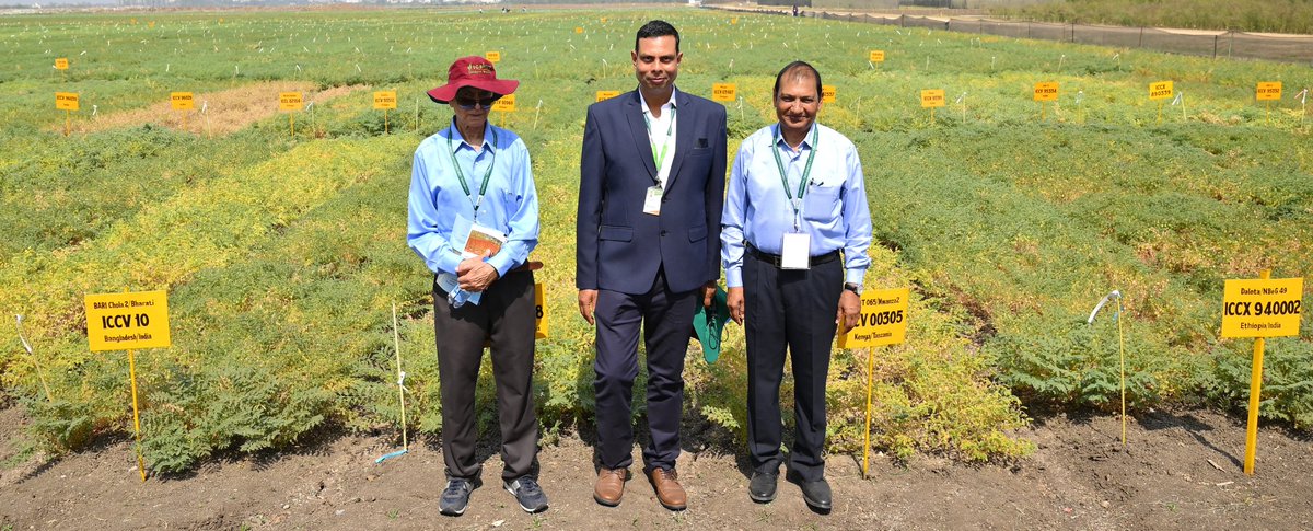Celebrating three generations of ICRISAT chickpea breeders! An absolute honor to be standing with eminent chickpea breeders, Dr Jagdish Kumar (on my right) and Dr Pooran Gaur (on my left) during the Chickpea Scientists' Field Day. #ICRISAT #ChickpeaBreeders #LegacyInAgriScience