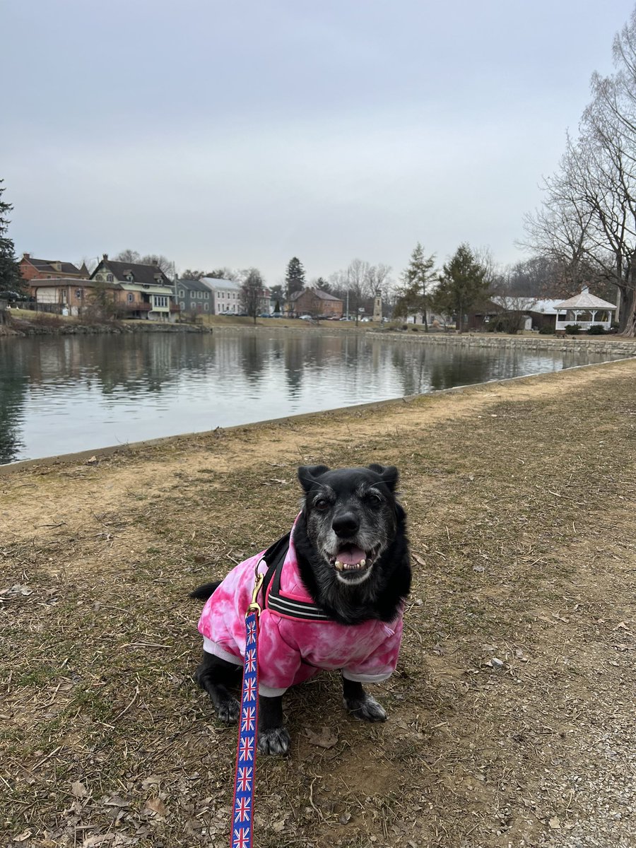 anndra_wilson's tweet photo. Someone greatly enjoyed our trip to #boilingspringspa this weekend with alllllll the smeeeelllllllsssss 😄
#roadtripbuddy #cumberlandcountypa https://t.co/5MKzja2FPo