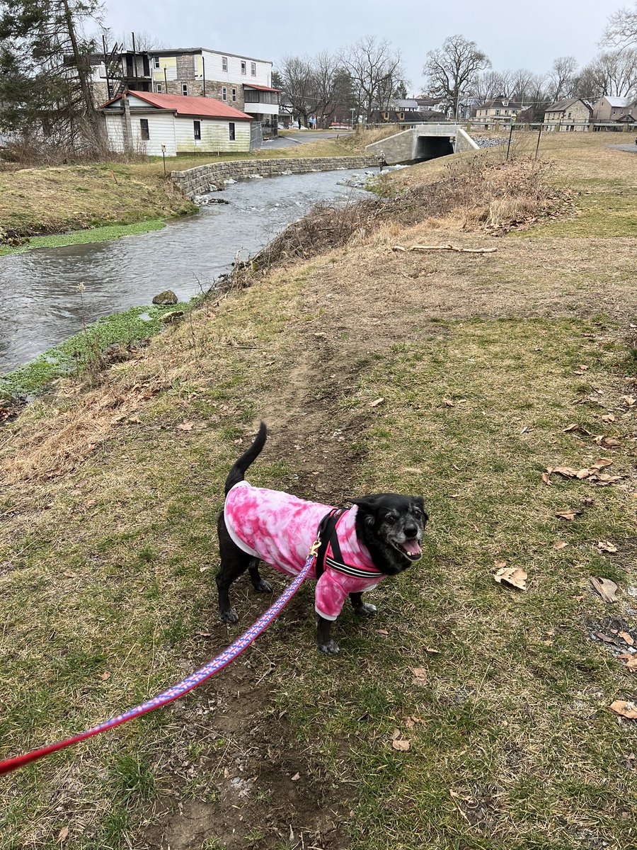 anndra_wilson's tweet photo. Someone greatly enjoyed our trip to #boilingspringspa this weekend with alllllll the smeeeelllllllsssss 😄
#roadtripbuddy #cumberlandcountypa https://t.co/5MKzja2FPo
